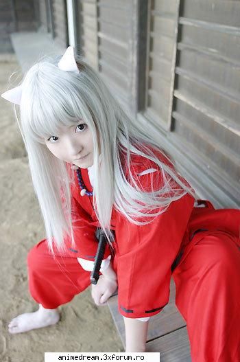 inuyasha inu