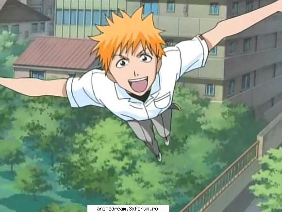 ichigo   Admin