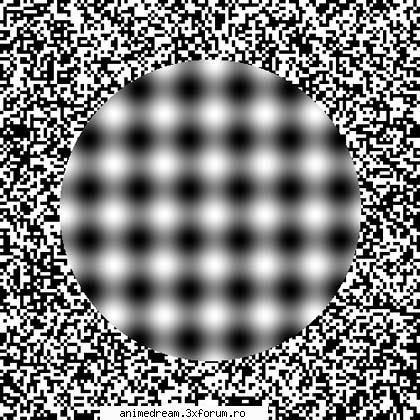 pai.. prima poza. iluzii