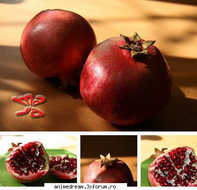 Food challenge - 5 - mancarea pe care ai putea sa o mananci - 30 days challenge