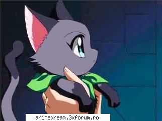 :dinti: