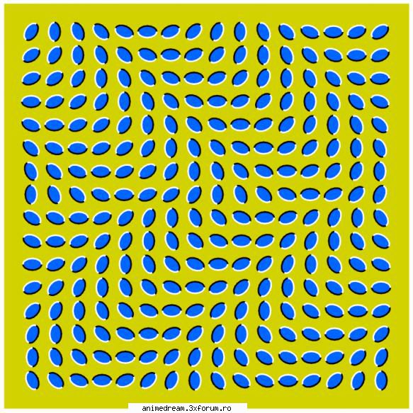 iluzii 13-a