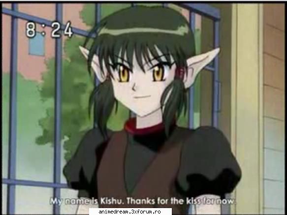 :nebun: kishu