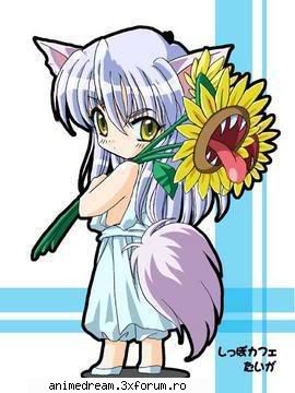 a cincea kurama