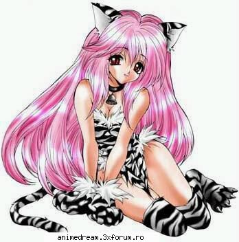 2) nekomimi (cat girls)