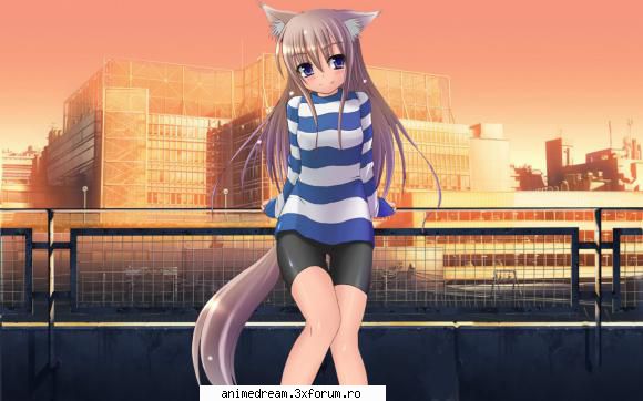 3) nekomimi (cat girls)