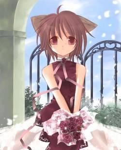 img 2 nekomimi (cat girls)