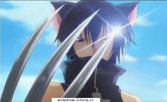 vin eu 

1) top 5 imagini preferate