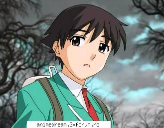 4 tsukune