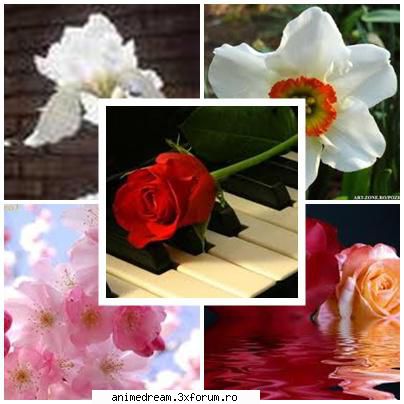 Your favourite flower^_^ - anime^_^sweet - Flowers