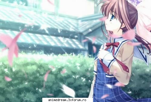 Yukimura Hanaty - Me printre flori de cires - Album